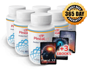 Pineal XT-6 bottles